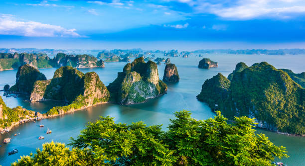 Blissful Vietnam - Honeymoon Special